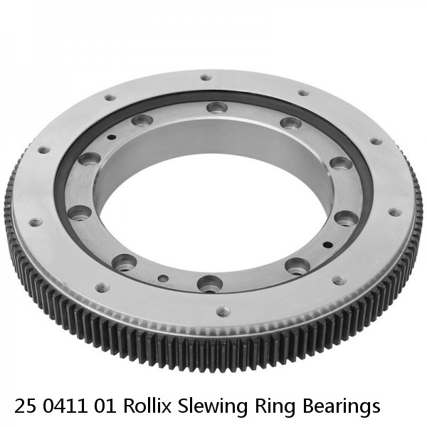 25 0411 01 Rollix Slewing Ring Bearings