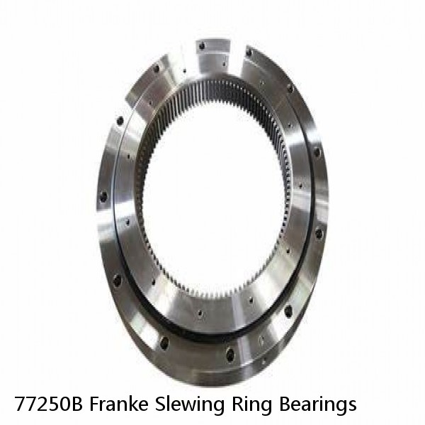 77250B Franke Slewing Ring Bearings