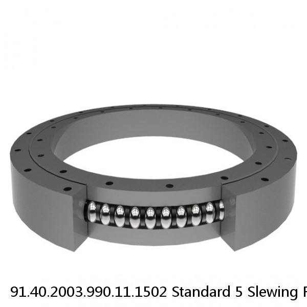 91.40.2003.990.11.1502 Standard 5 Slewing Ring Bearings