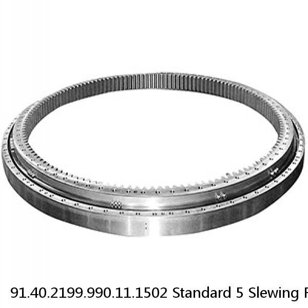 91.40.2199.990.11.1502 Standard 5 Slewing Ring Bearings