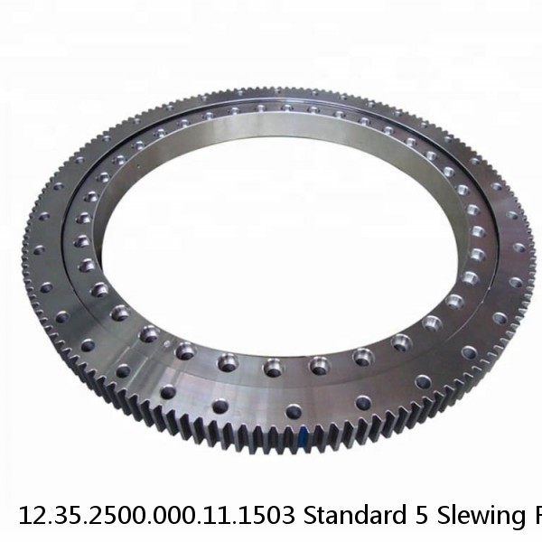 12.35.2500.000.11.1503 Standard 5 Slewing Ring Bearings