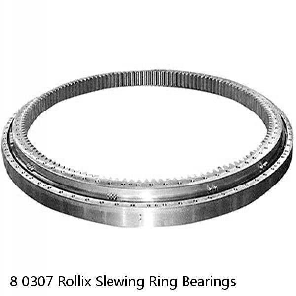 8 0307 Rollix Slewing Ring Bearings