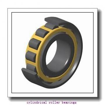 55 mm x 90 mm x 18 mm  FAG NU1011-E-M1  Cylindrical Roller Bearings