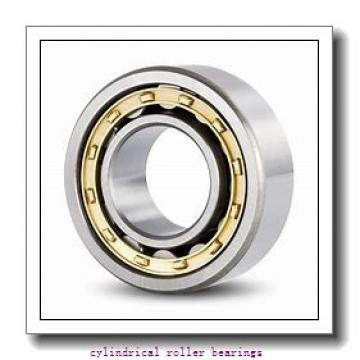 170 mm x 260 mm x 42 mm  FAG NU1034-M1  Cylindrical Roller Bearings
