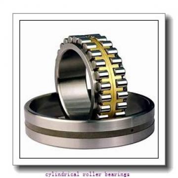 105 mm x 160 mm x 26 mm  FAG NU1021-M1  Cylindrical Roller Bearings