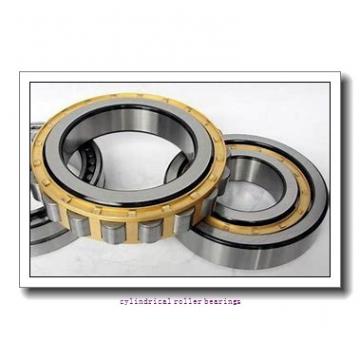 95 mm x 145 mm x 24 mm  FAG NU1019-M1  Cylindrical Roller Bearings