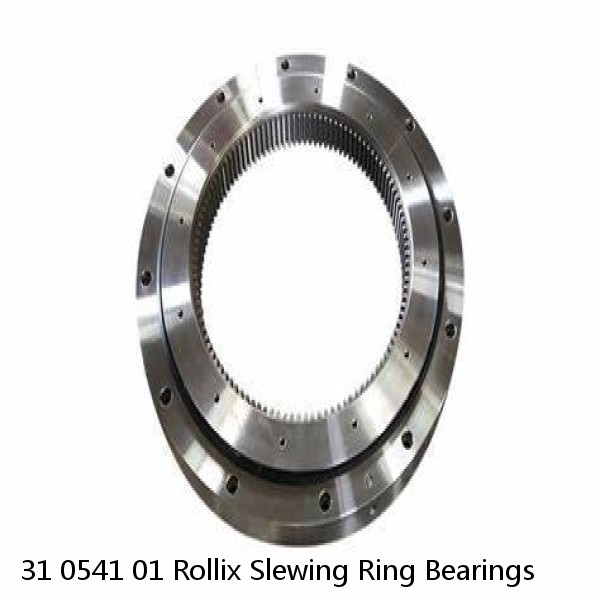 31 0541 01 Rollix Slewing Ring Bearings